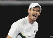 开云体育下载-关于德国网球队轻取欧洲网球队，穆雷一己之力扛起全队的信息