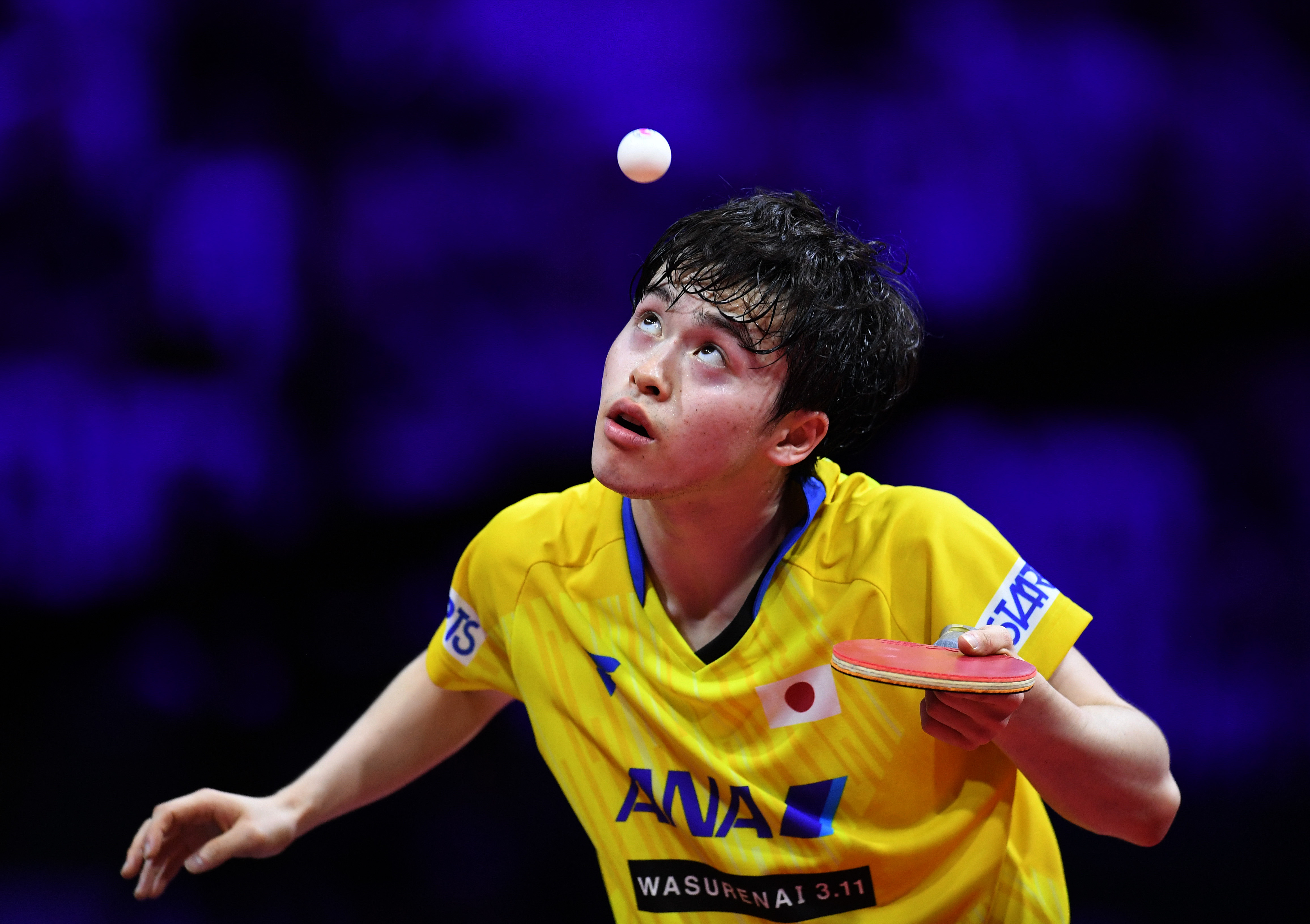 日本乒乓球队血洗韩国乒乓球队,波尔制霸全场的简单介绍 日本乒乓球队血洗韩国乒乓球队,波尔制霸全场的简单介绍