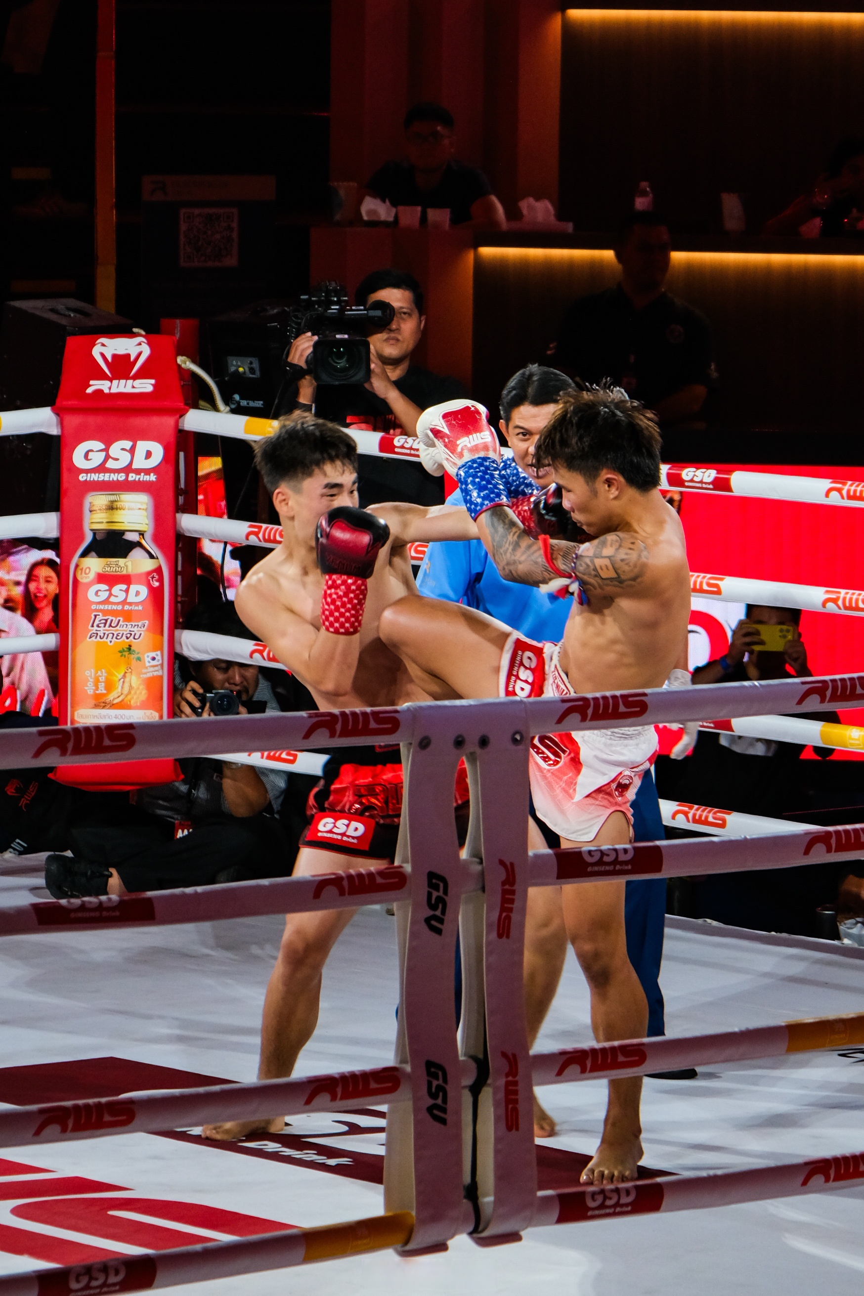 包含泰国队绝杀丹麦队，石宇奇统治全场的词条