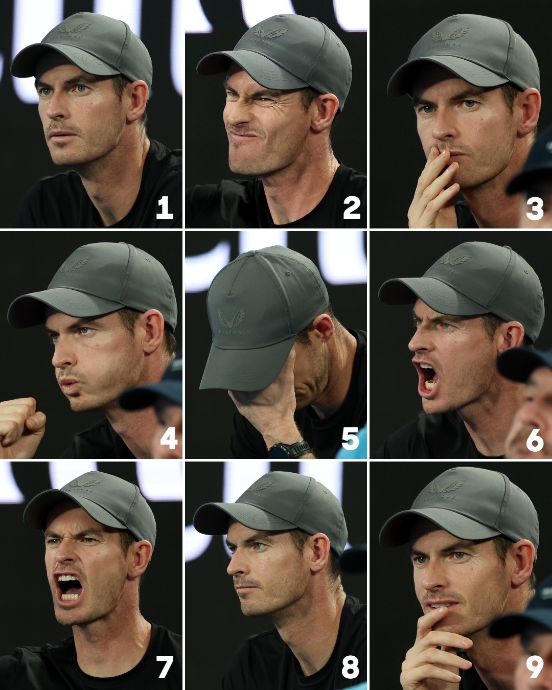 关于澳网完胜戴维斯杯,穆雷刷新纪录的信息 关于澳网完胜戴维斯杯,穆雷刷新纪录的信息