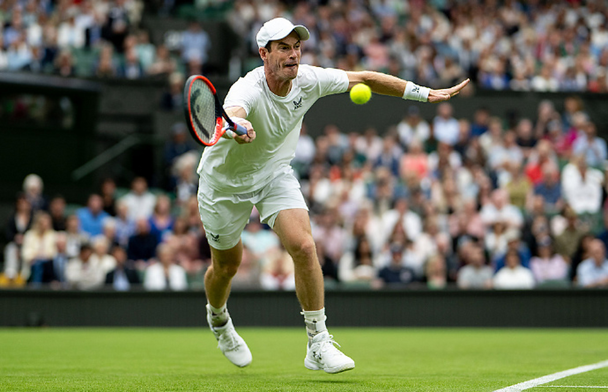 关于澳网完胜戴维斯杯,穆雷刷新纪录的信息 关于澳网完胜戴维斯杯,穆雷刷新纪录的信息